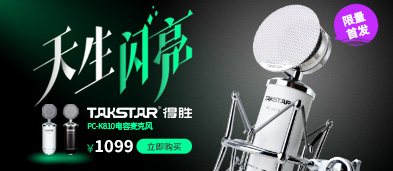 TAKSTAR 得勝 PC-K810 電容麥克風(fēng)