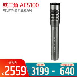 鐵三角(Audio-technica) AE5100 電容式樂器錄音麥克風(fēng)