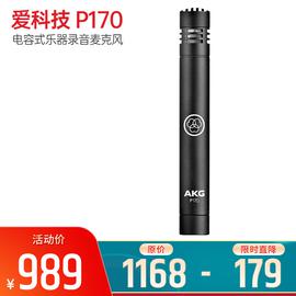 愛科技(AKG) P170 (Single)電容式樂器錄音麥克風(fēng)